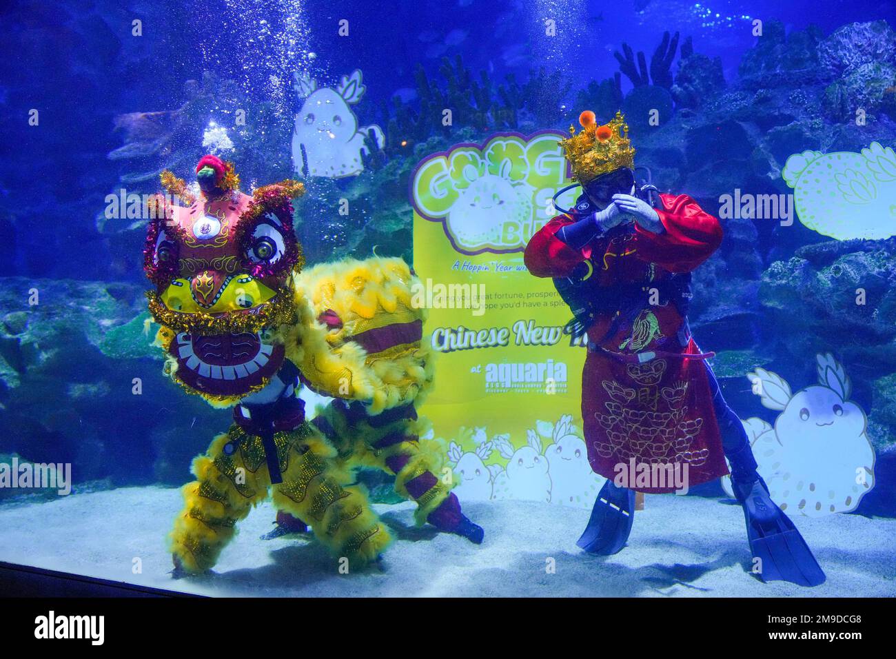 Divers dressed in Fortune God costume and Chinese lion perform as part