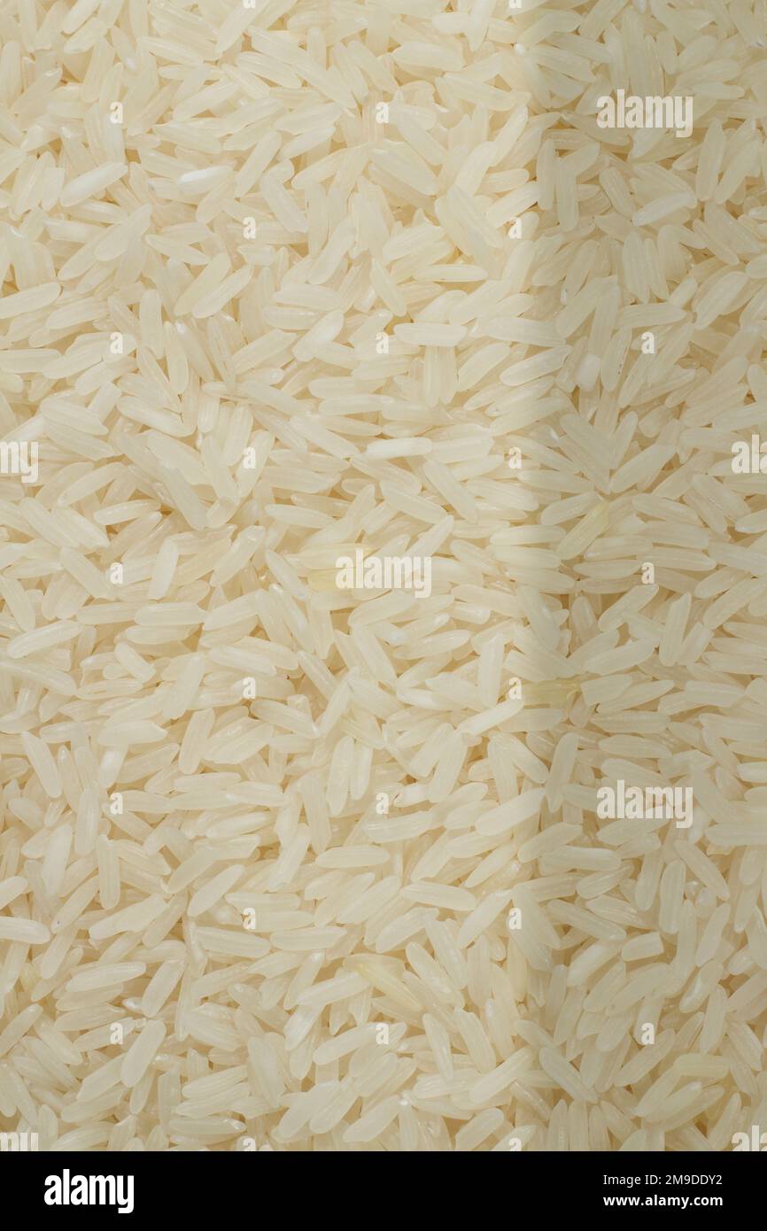 Grains and Things-Steel cut oats, White rice and Spiral Pasta! Stock Photo