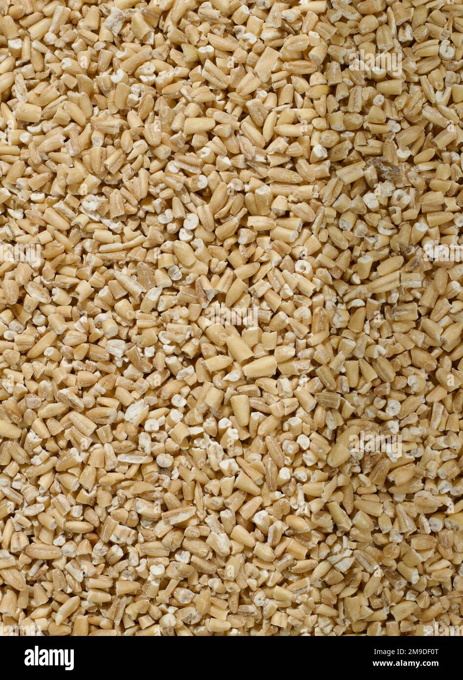 Grains and Things-Steel cut oats, White rice and Spiral Pasta! Stock Photo