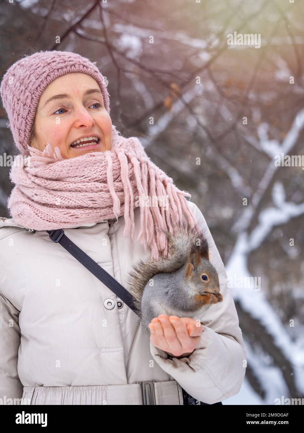 Girl feeds a squirrel with nuts at winter squirrel eats nuts from the