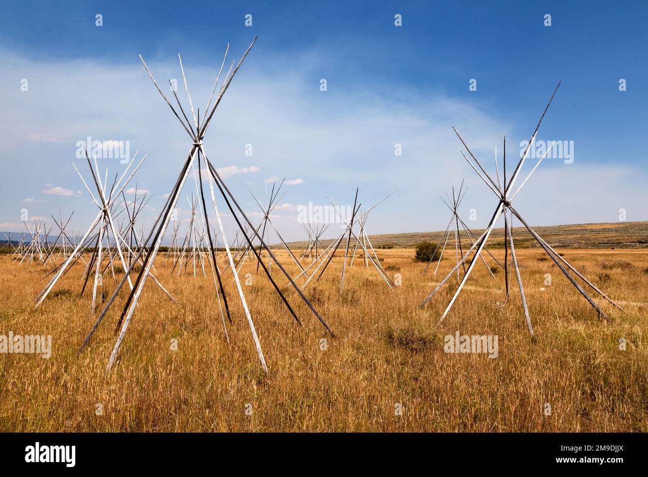 Upright poles at Big Hole National Battlefield in Montana mark the location of the nimí·pu camp and the site of the August 9th, 1877, battle between U Stock Photo