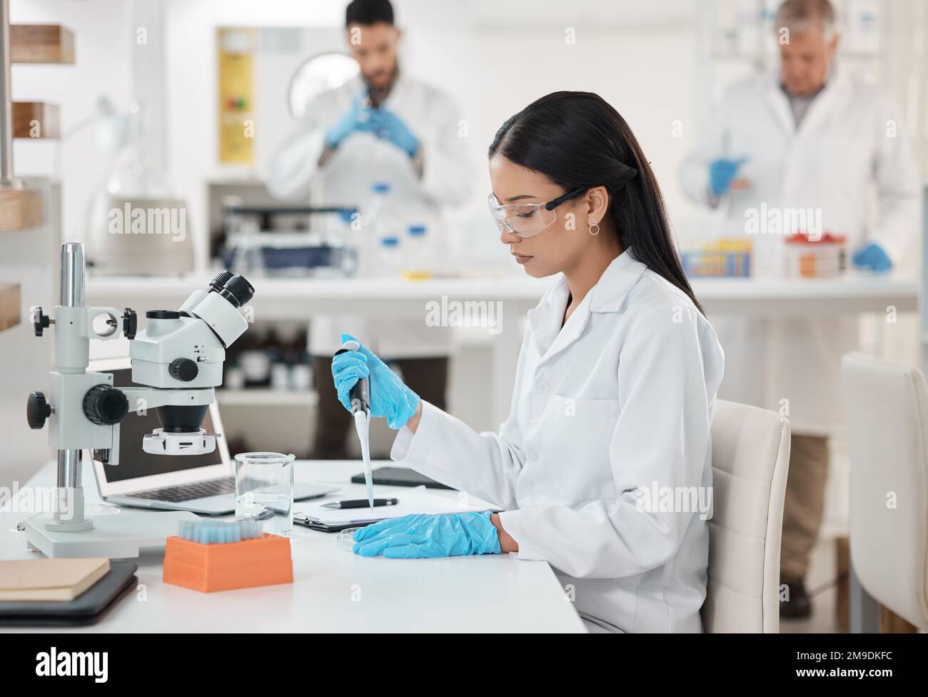 Society will benefit from this astounding research case. a young scientist working with samples in a lab. Stock Photo