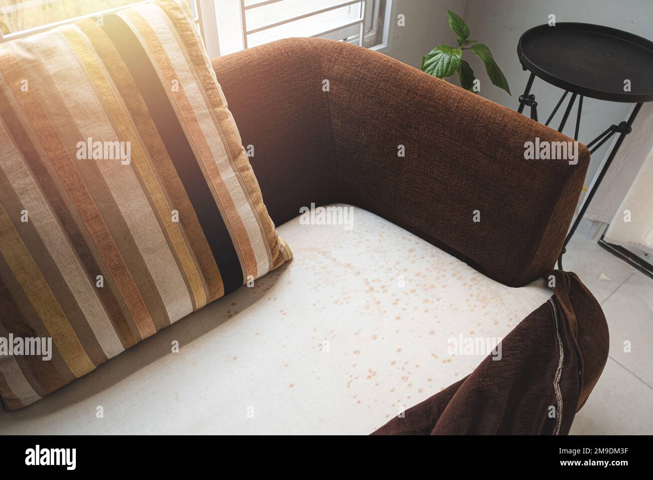 Mould under upholstery on the old sofa Stock Photo - Alamy