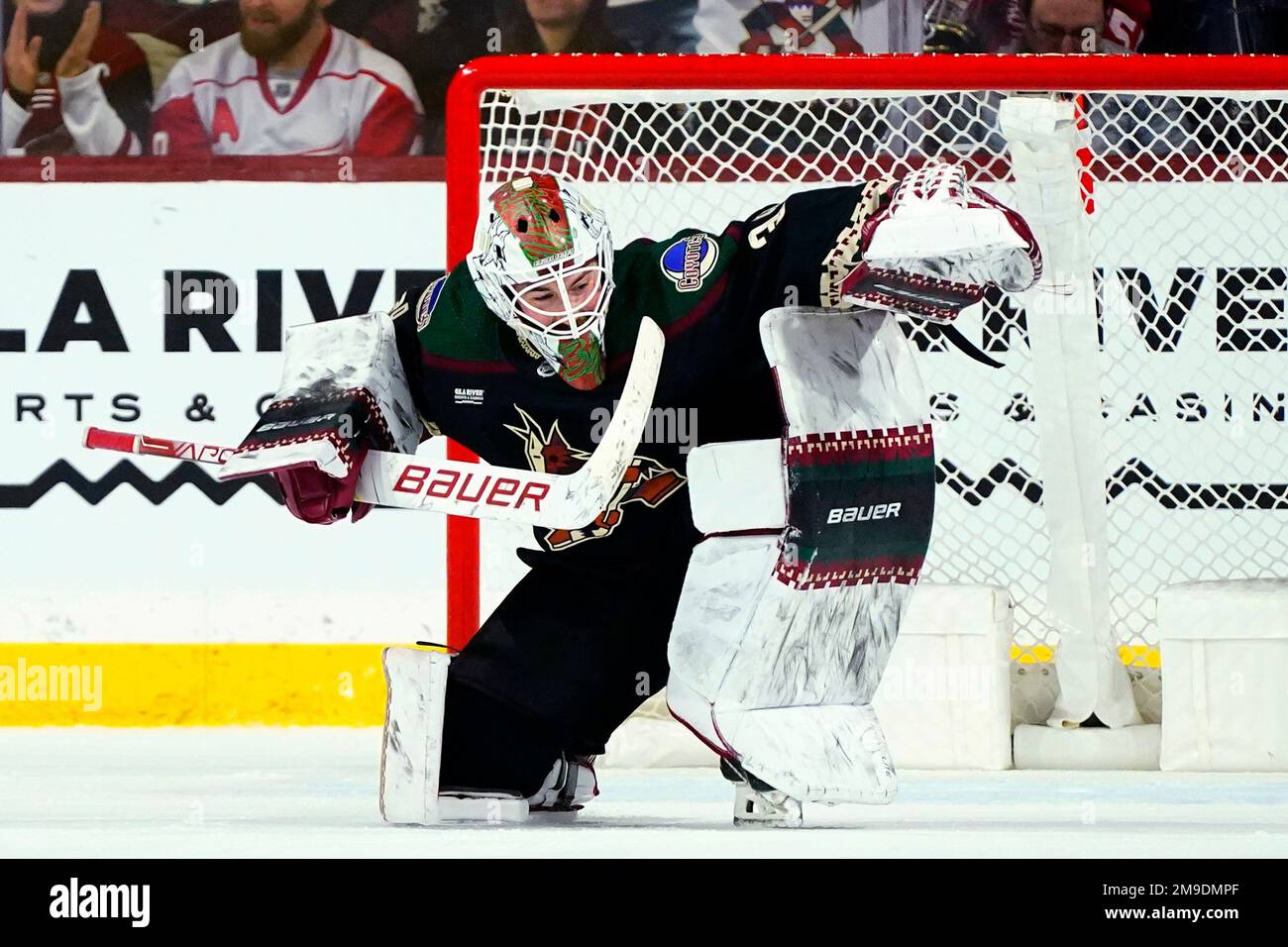 Coyotes resume 27-year quest to draft, develop a starting goaltender - PHNX  Sports