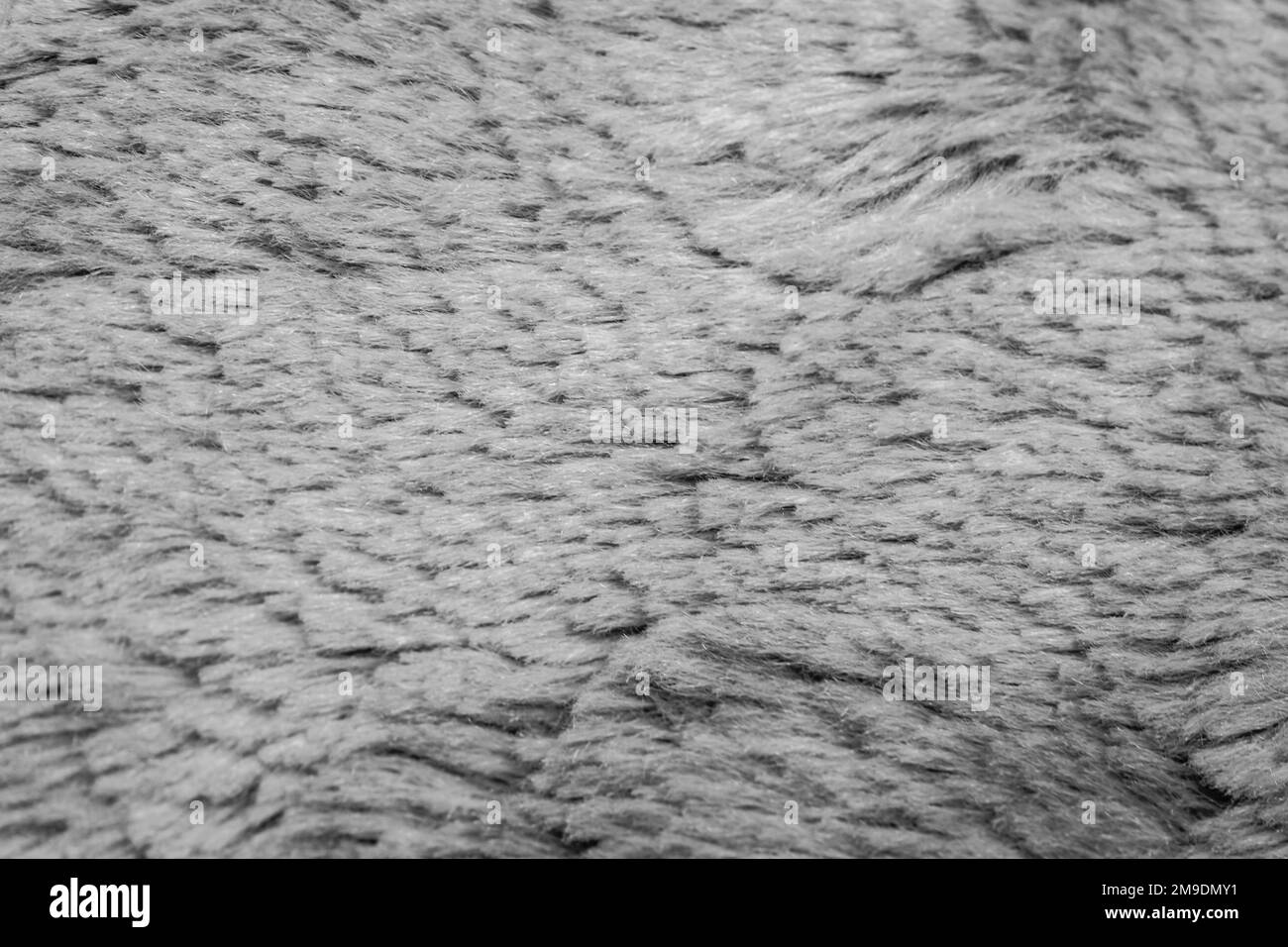 Colorful animal fur texture Black and White Stock Photos & Images - Alamy