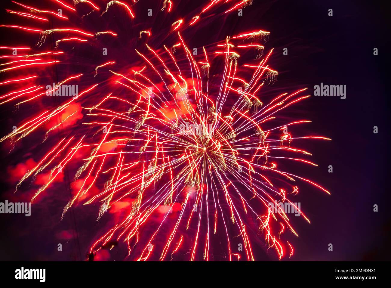 Colorful fireworks on the background night sky. The explosions of the ...