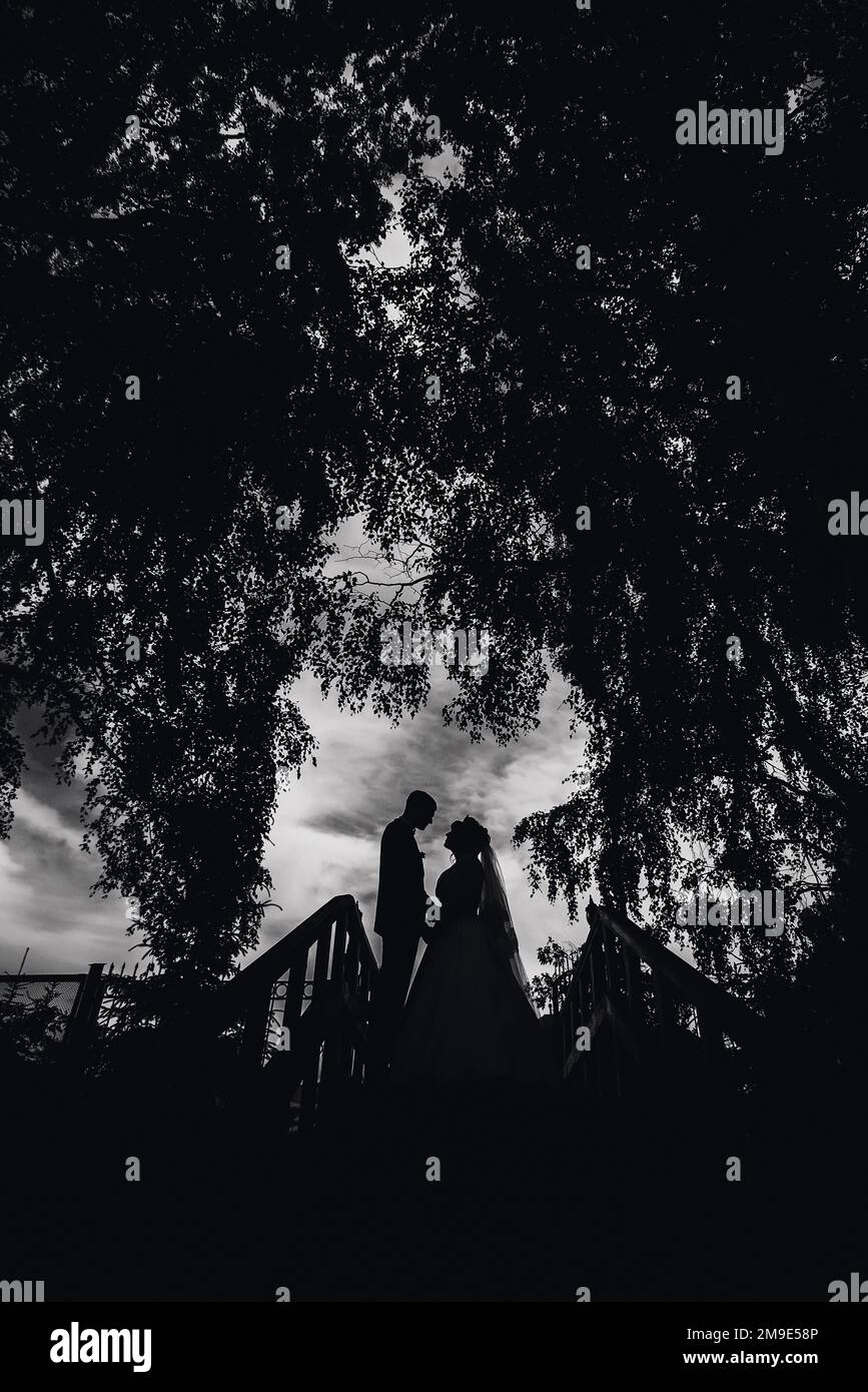 silhouette of couple in love bride and groom on wedding day Stock Photo ...
