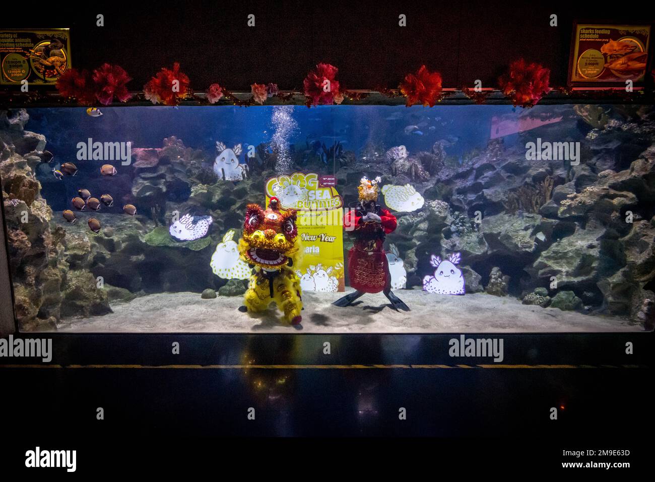 Kuala Lumpur, Malaysia. 18th Jan, 2023. Divers dressed as a lion and a Fortune God stage an underwater performance in celebration of the Lunar New Year at Aquaria KLCC in Kuala Lumpur, Malaysia, Jan. 18, 2023. Credit: Zhu Wei/Xinhua/Alamy Live News Stock Photo