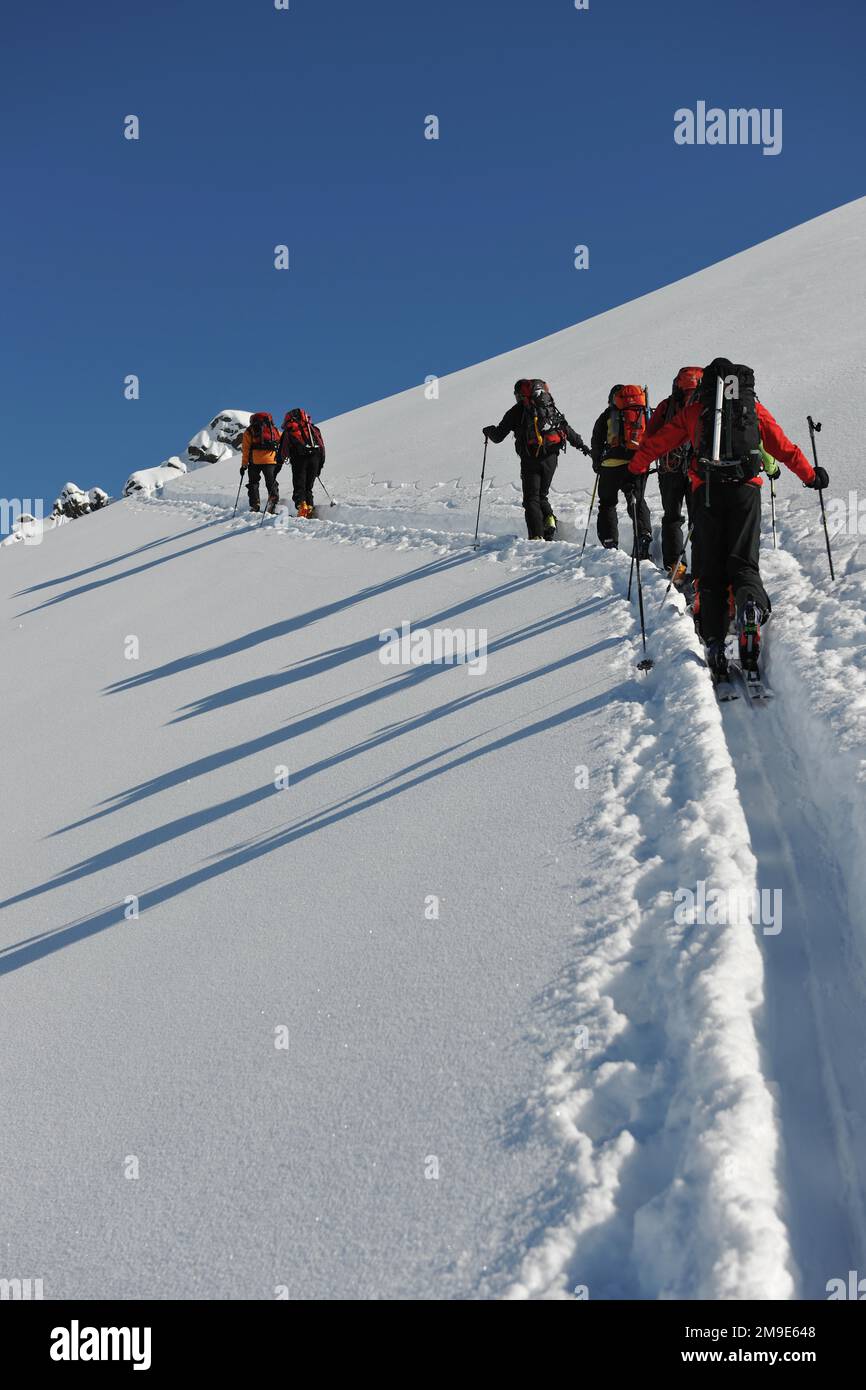 Ski tour Bortelhorn, group ascending with skis and backpack, from behind, Ried-Brig, Valais, Switzerland Stock Photo