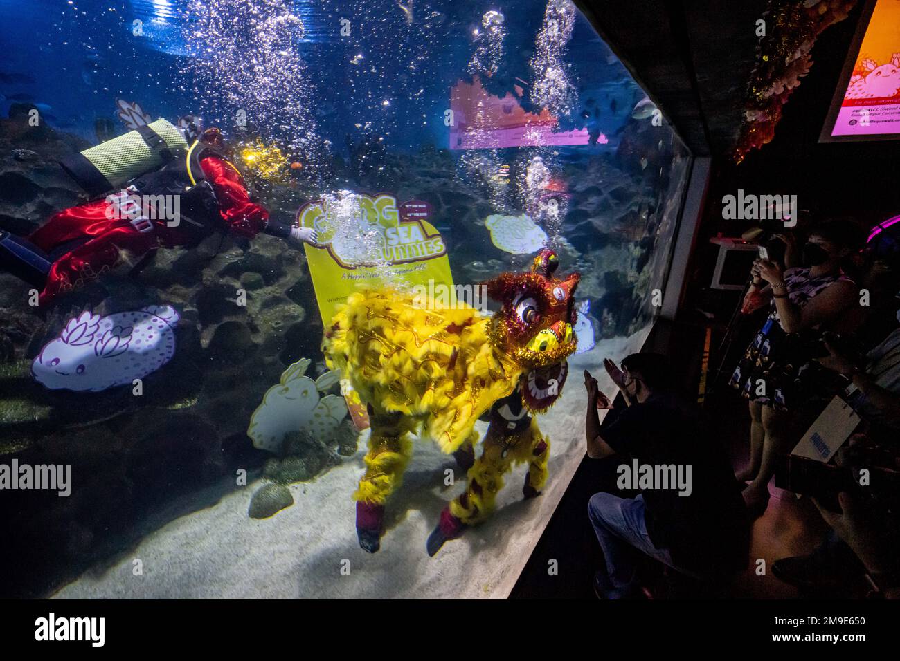 Kuala Lumpur, Malaysia. 18th Jan, 2023. Visitors take photos of divers who are dressed as a lion and a Fortune God during an underwater performance in celebration of the Lunar New Year at Aquaria KLCC in Kuala Lumpur, Malaysia, Jan. 18, 2023. Credit: Zhu Wei/Xinhua/Alamy Live News Stock Photo