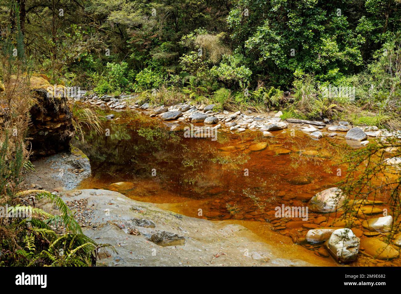 Slab Hut creek popular with gold panning prospectors. Reefton, Buller district, south island, Aotearoa / New Zealand. Stock Photo