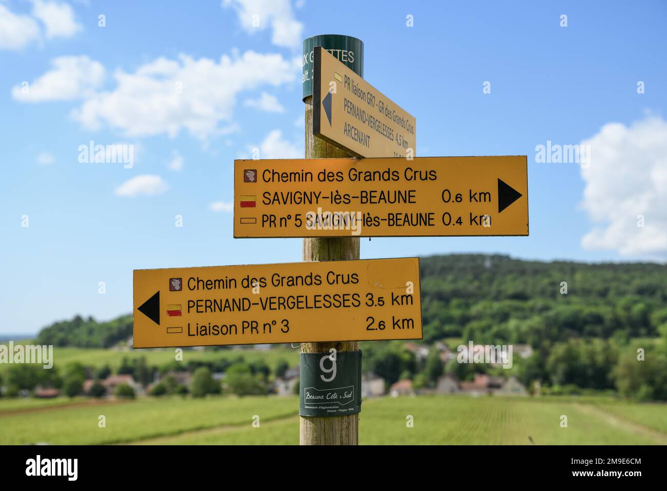 Signpost on the Route des Grands-Crus, Route of Fine Wines, near Savigny-les-Beaune, Departement Cote-d'Or, Burgundy, France Stock Photo
