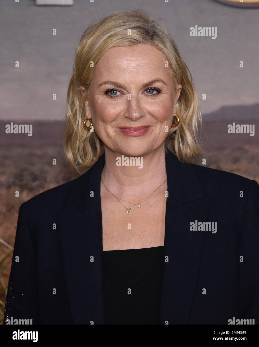 17 January 2023 - Hollywood, California - Amy Poehler. Los Angeles