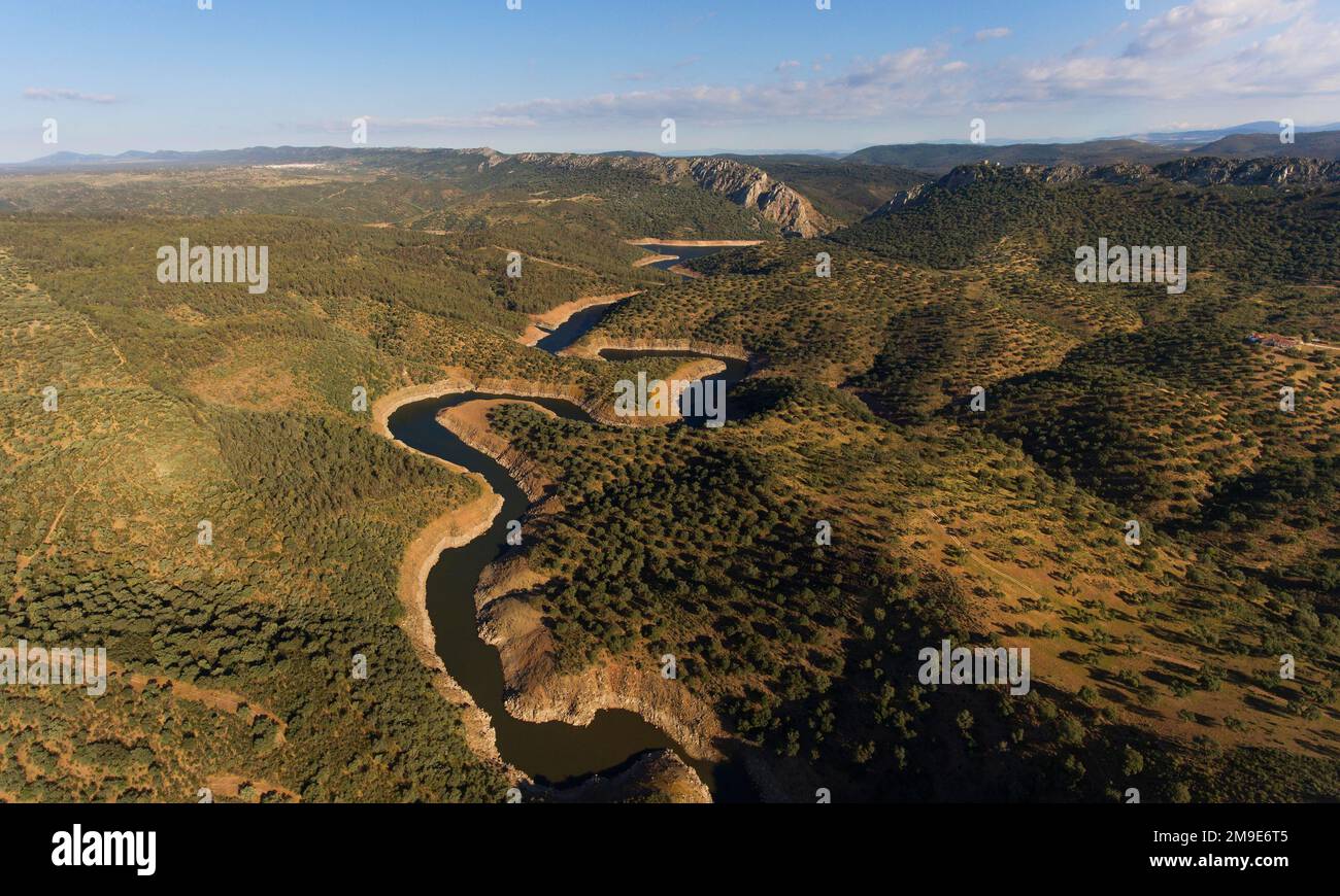 Dehesa, holm oak forest with river, aerial view, Monfraguee National Park, Extremadura, Spain Stock Photo