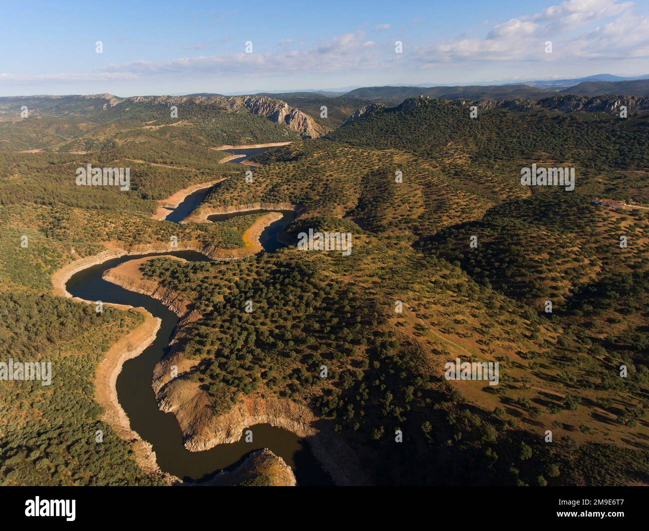 Dehesa, holm oak forest with river, aerial view, Monfraguee National Park, Extremadura, Spain Stock Photo