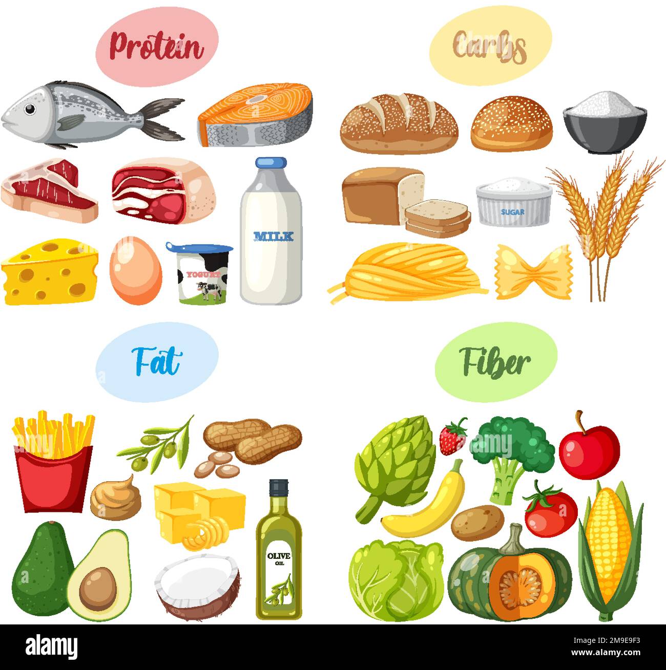 The four food groups illustration Stock Vector