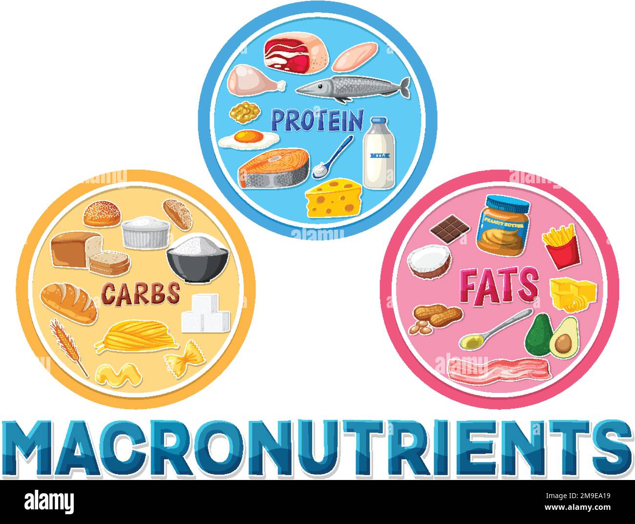 Macronutrients diagram with food ingredients illustration Stock Vector