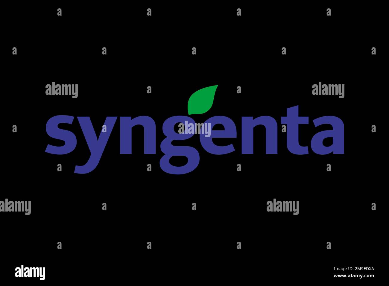 Syngenta, Logo, Black background Stock Photo