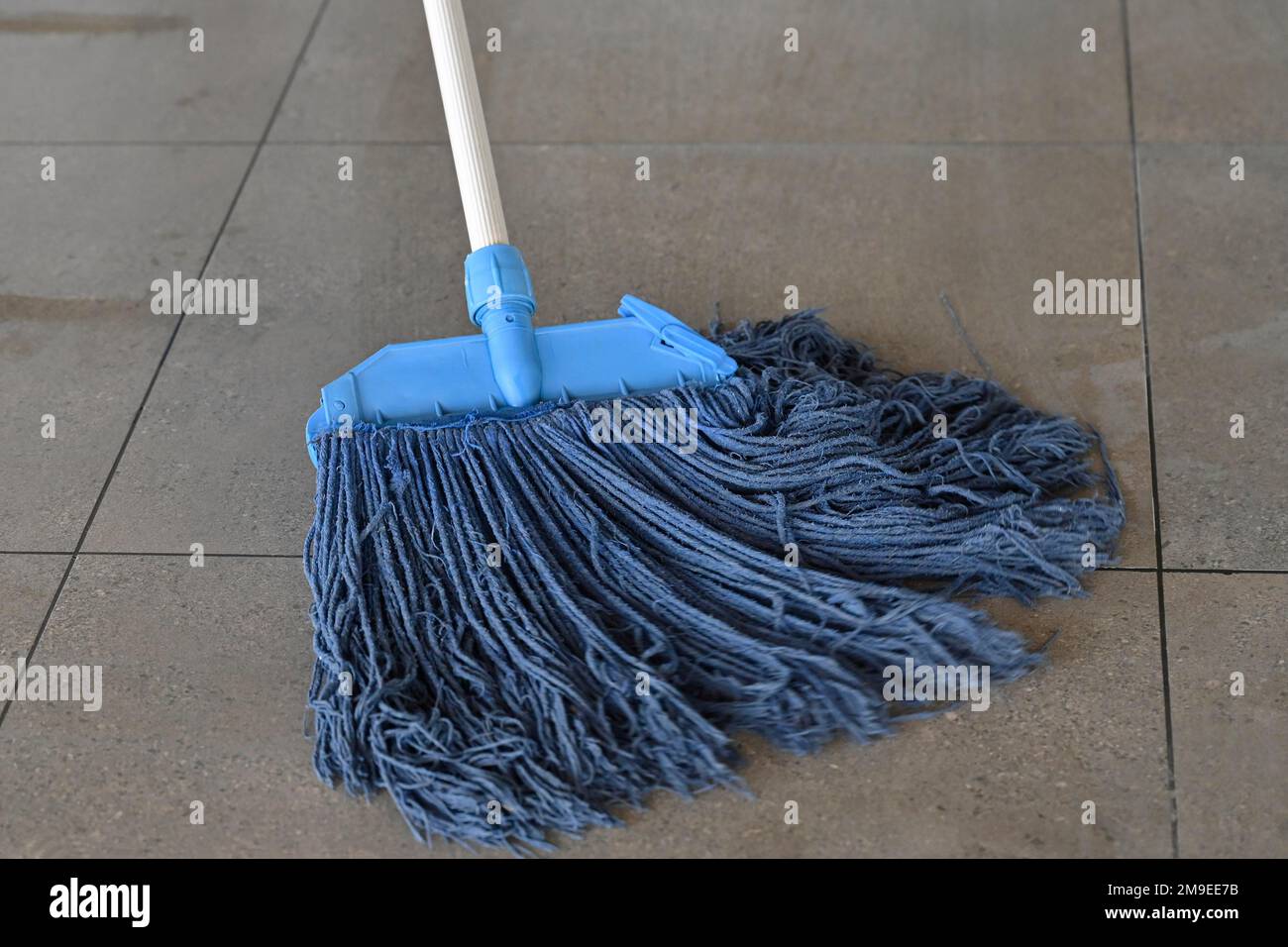https://c8.alamy.com/comp/2M9EE7B/floor-cleaning-floor-wiper-2M9EE7B.jpg