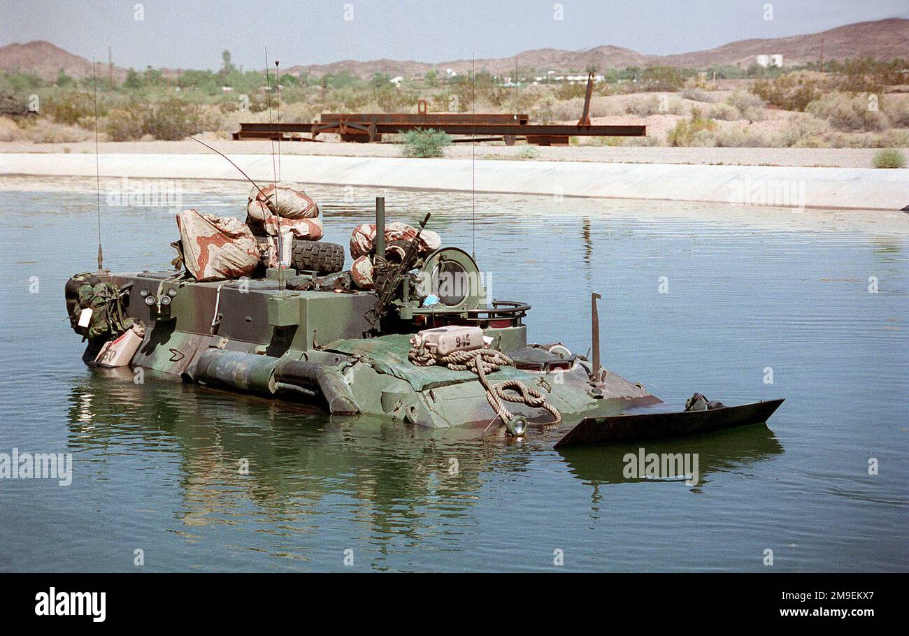 1ST Light Armored Reconnaissance, Delta Company, Light Armored Vehicle