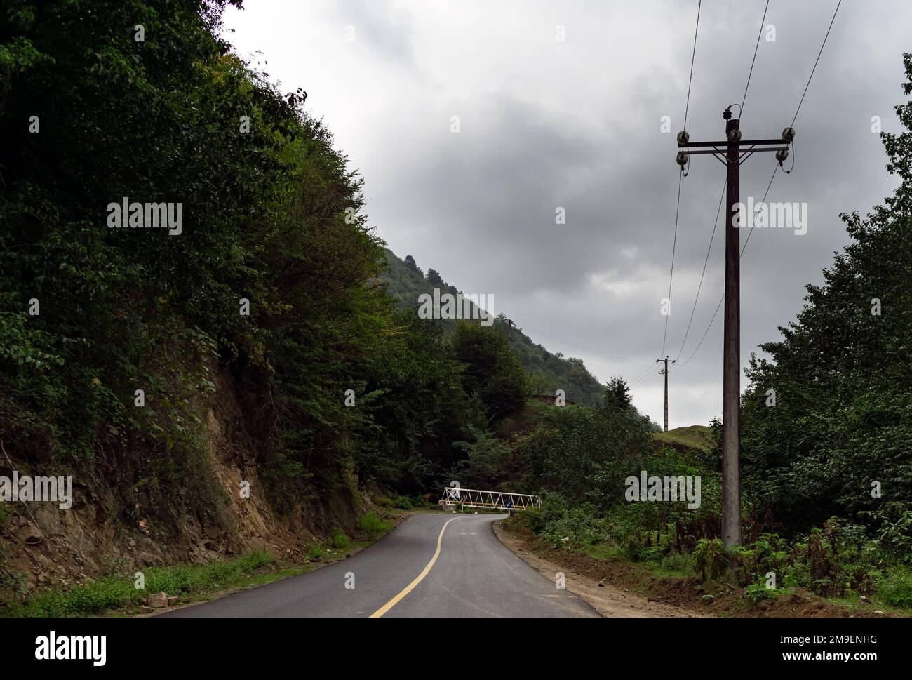 a mountain road full of tree Stock Photo