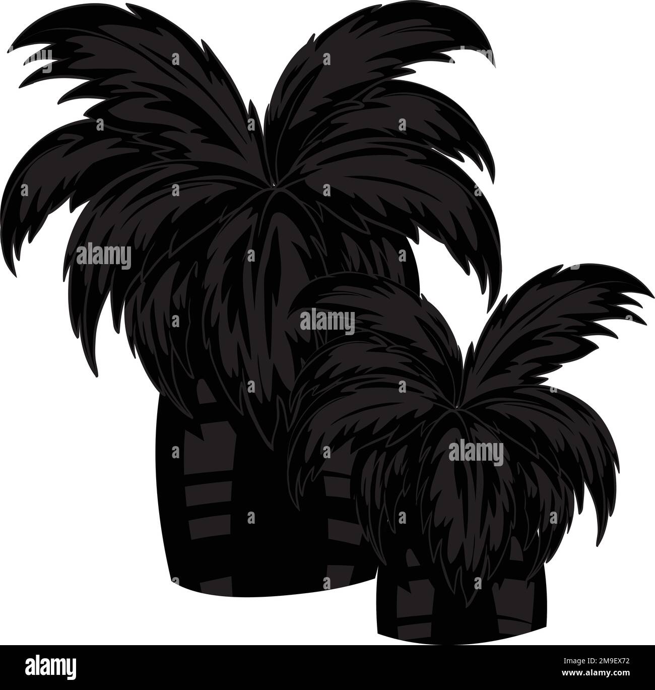 Tropical Palm Tree, Black Silhouettes Isolated on White Background Vector. Stock Vector