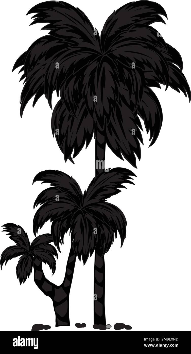 Tropical Palm Tree, Black Silhouettes Isolated on White Background Vector. Stock Vector