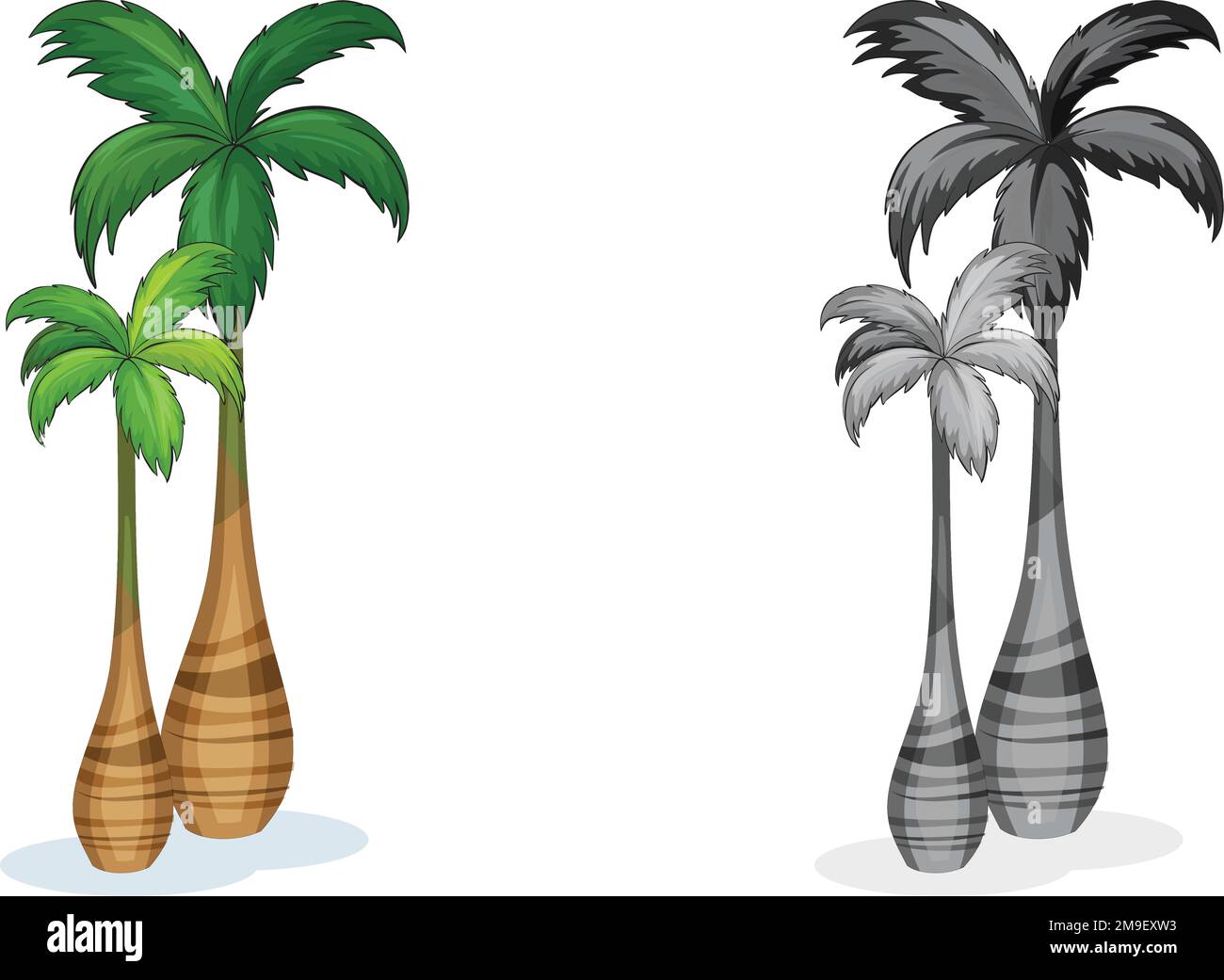 Tropical Palm Trees, Bright tropical decoration. Vector flat style cartoon palm illustration isolated on white background Stock Vector