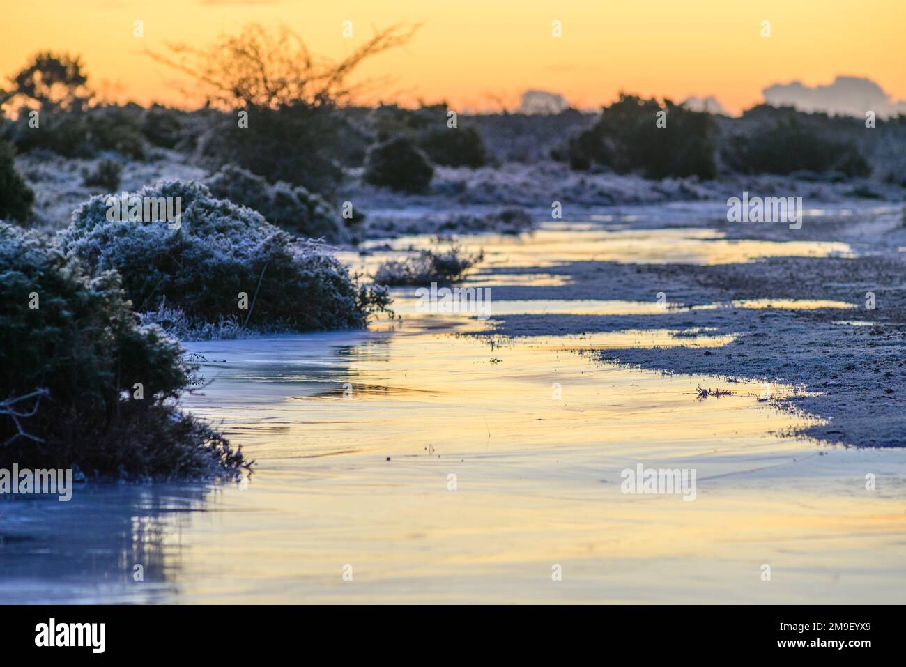 Godshill, New Forest, Hampshire, UK, 18th January 2023, Weather Cold
