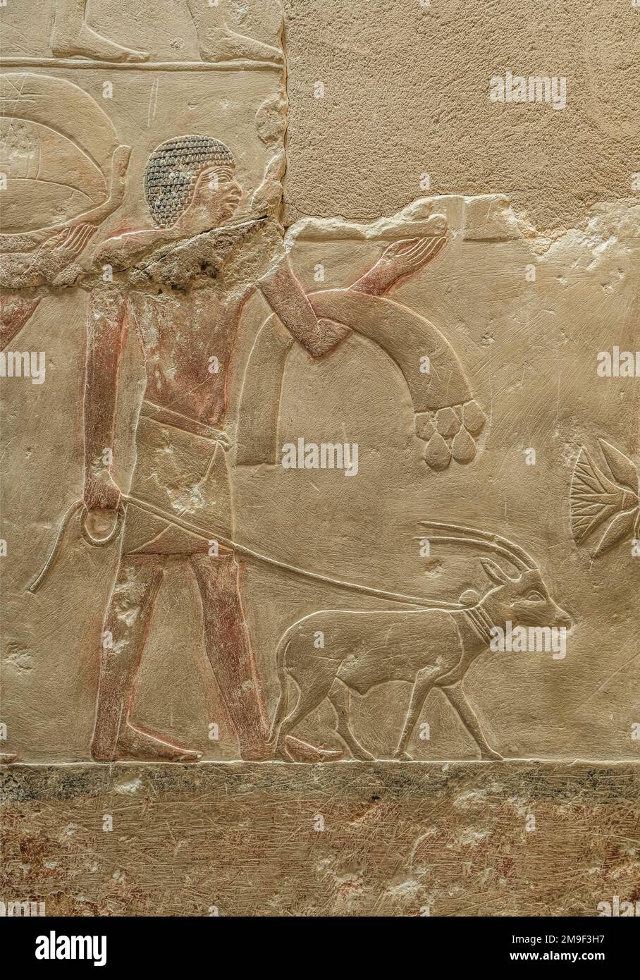 Bauer mit Ziege, Relief in den Grabbauten des Idut, Unas-Ank und Inefert, Nekropole von Sakkara, Ägypten Stock Photo