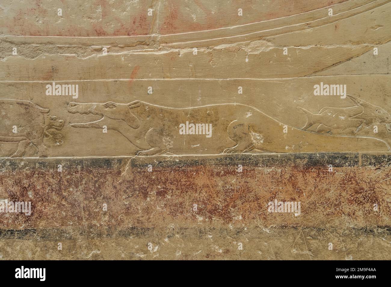 Relief, Krokodil beisst gebärendes Nilpferd, Relief in den Grabbauten des Idut, Unas-Ank und Inefert, Nekropole von Sakkara, Ägypten Stock Photo