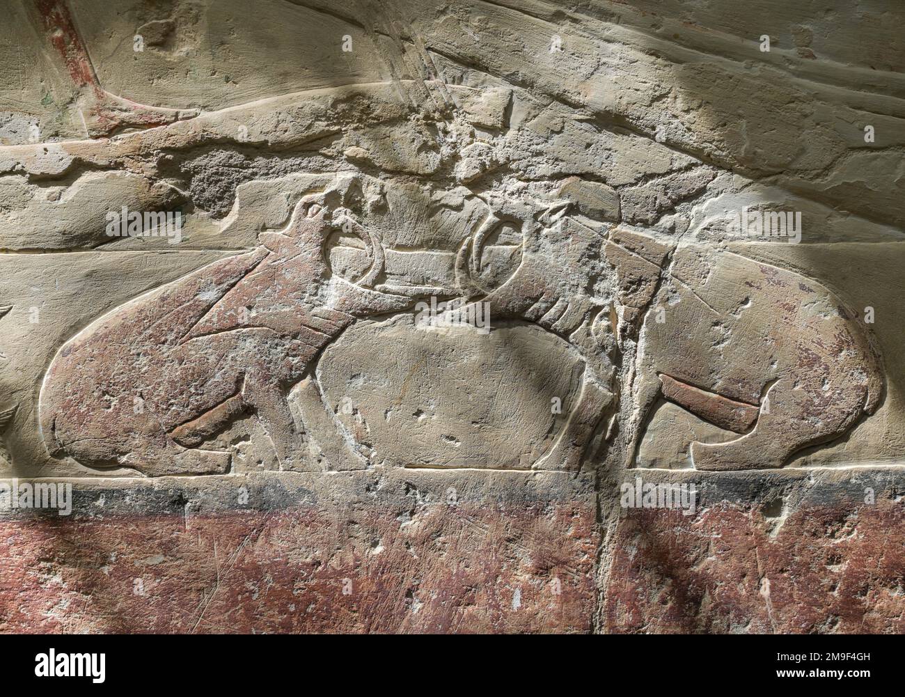 Kämpfende Nilpferde, Relief in den Grabbauten des Idut, Unas-Ank und Inefert, Nekropole von Sakkara, Ägypten Stock Photo