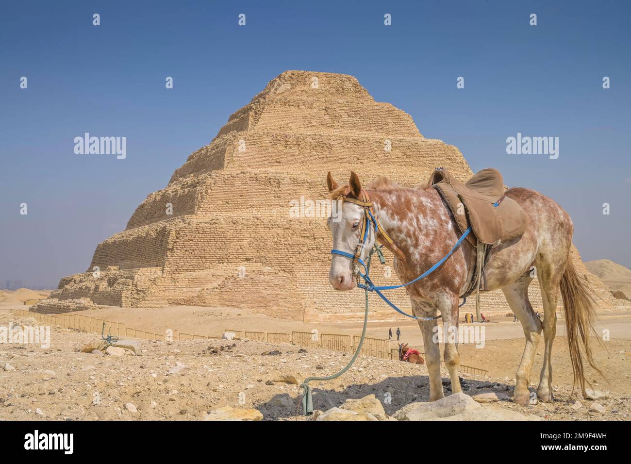 Pferd wartet auf Touristen, Stufenpyramide des König Djoser, Nekropole von Sakkara, Ägypten Stock Photo