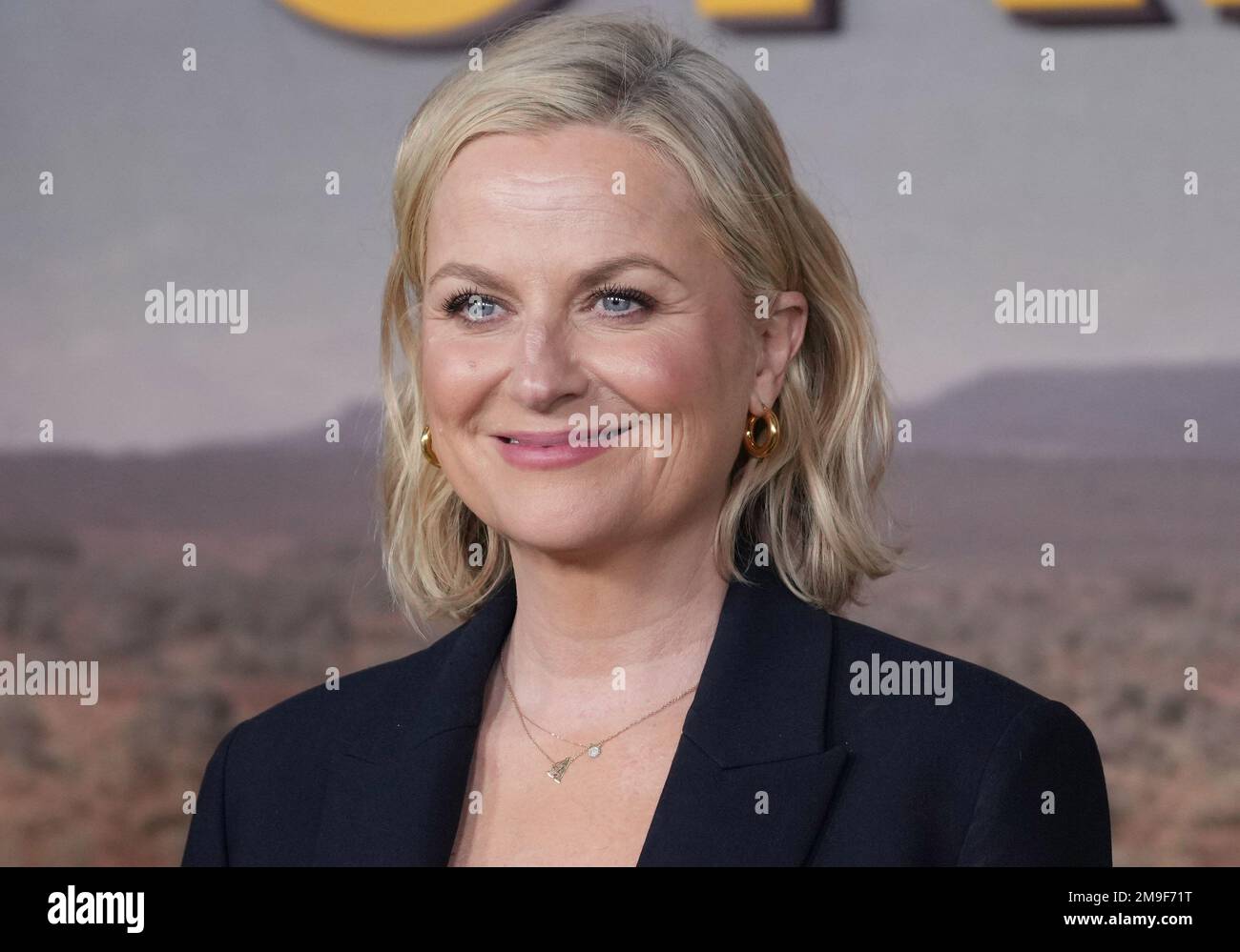 Los Angeles, USA. 17th Jan, 2023. Amy Poehler Arrives At The Peacock''s ...