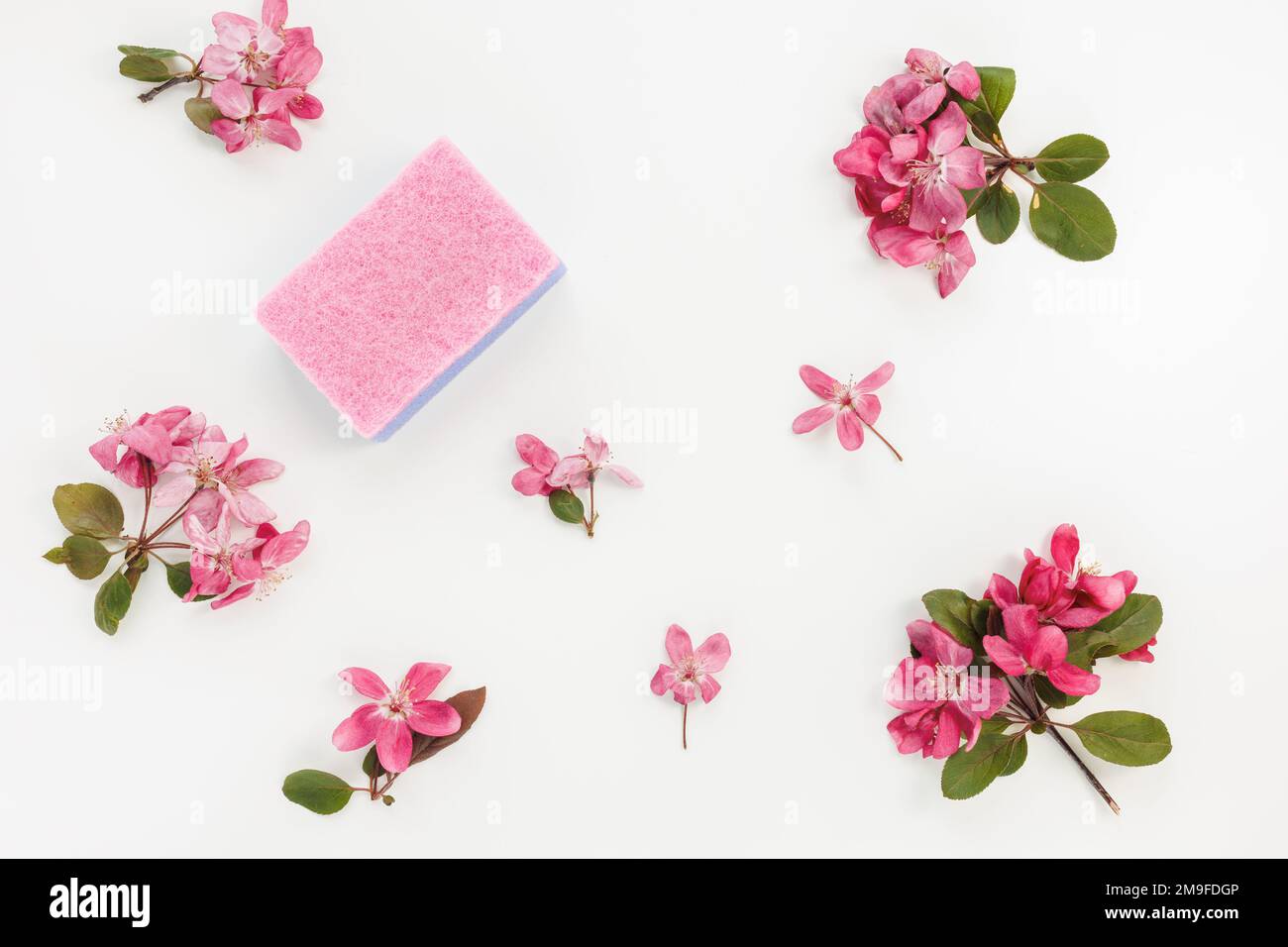 https://c8.alamy.com/comp/2M9FDGP/pink-and-purple-sponge-for-cleaning-and-dishwashing-on-white-background-with-flowers-accessories-for-household-chores-concept-spring-cleaning-kitchen-clean-and-fresh-home-concept-2M9FDGP.jpg