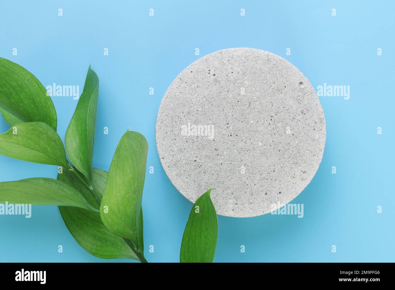 A podium made of concrete with green leaves, for the presentation of packaging and cosmetics, top view, on a blue background. Product display with whi Stock Photo