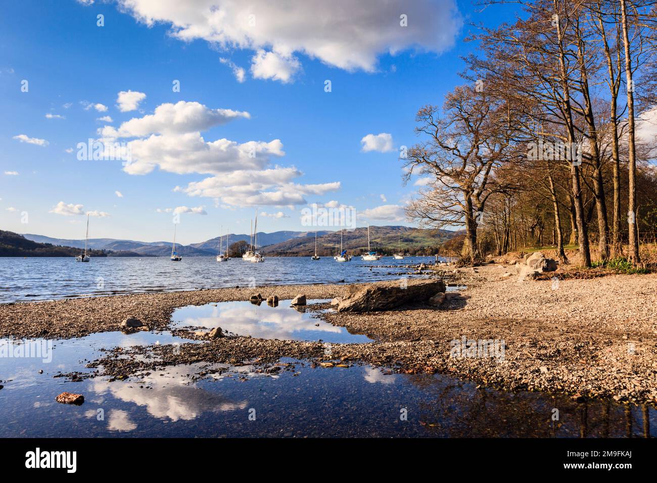 View north along Lake Windermere shore in the Lake District National Park. Bowness on Wndermere, Cumbria, England, UK, Britain Stock Photo