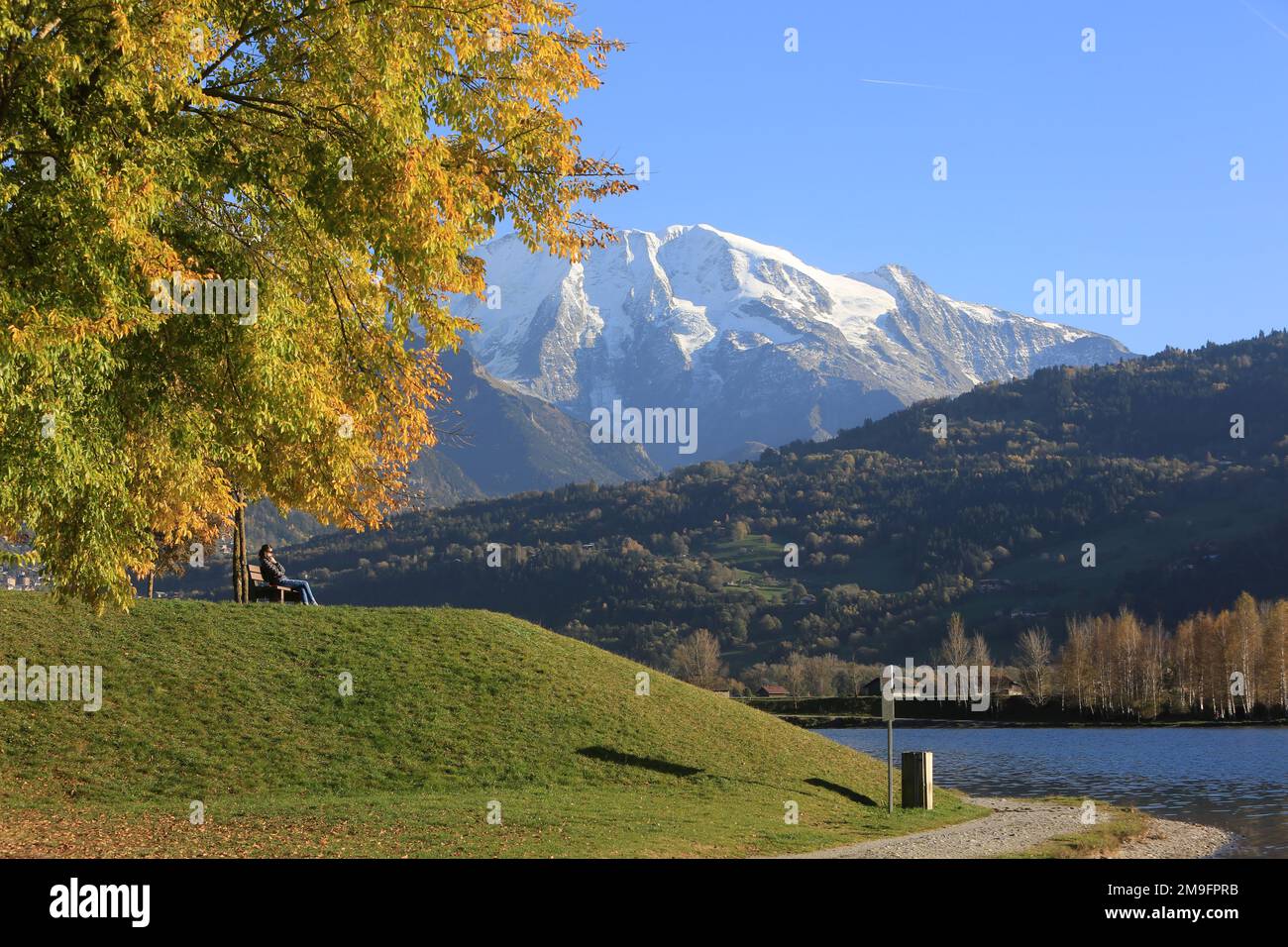 Banc de base hi-res stock photography and images - Alamy