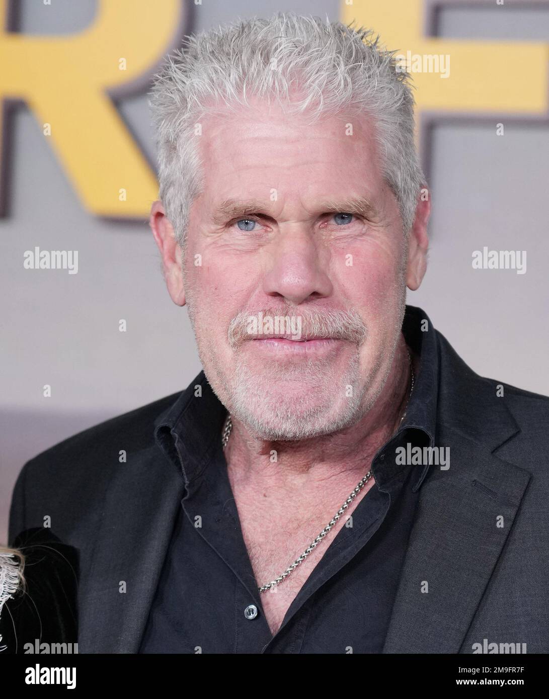 Ron Perlman arrives at the Peacock''s POKER FACE Los Angeles Premiere ...