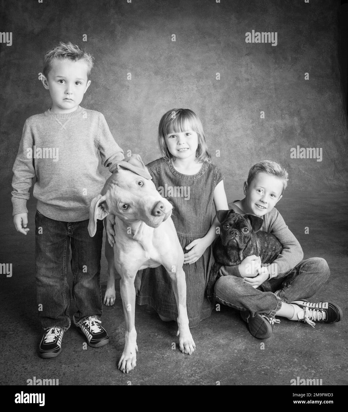 Studio portrait of siblings with Pug Bulldog Mix and Lab Hound Mix Stock Photo