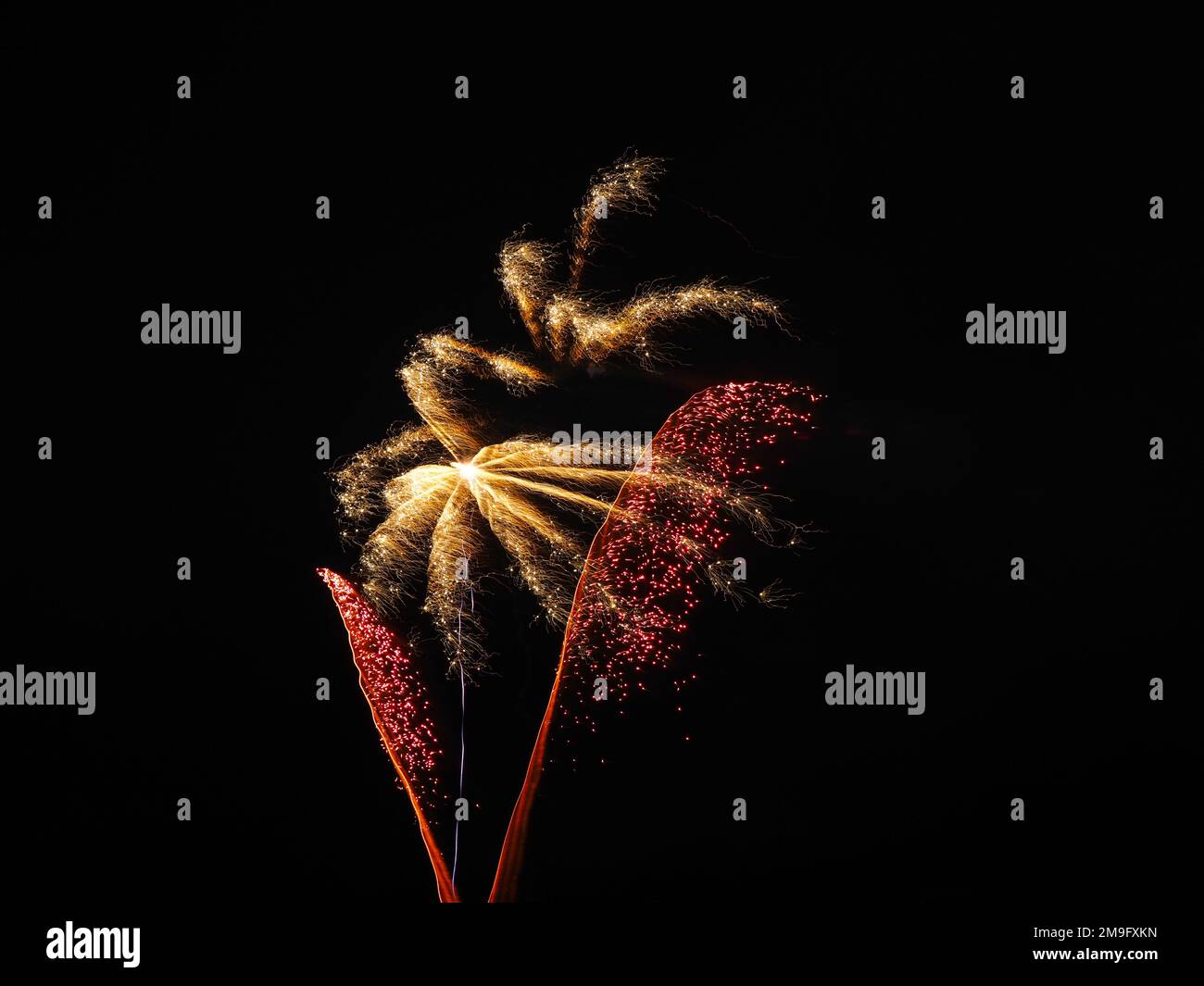 Fireworks against a black sky in a plant/flower/tree shape Stock Photo