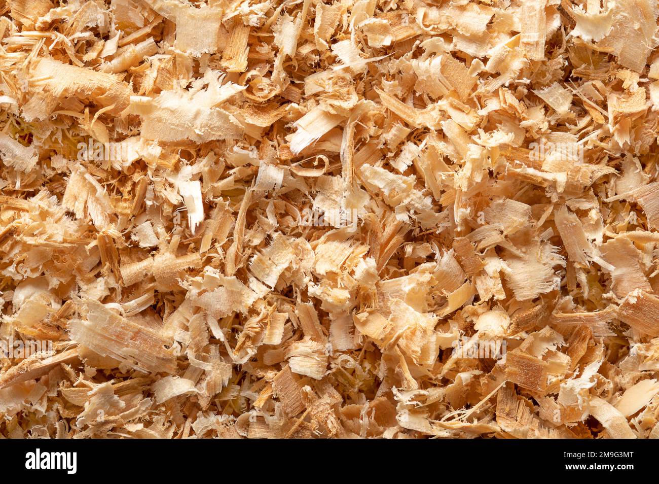 Wood chips, surface of small chippings of wood. Coarse sawdust, formed by sawing dried spruce. A by-product and waste product, mainly used as additive. Stock Photo