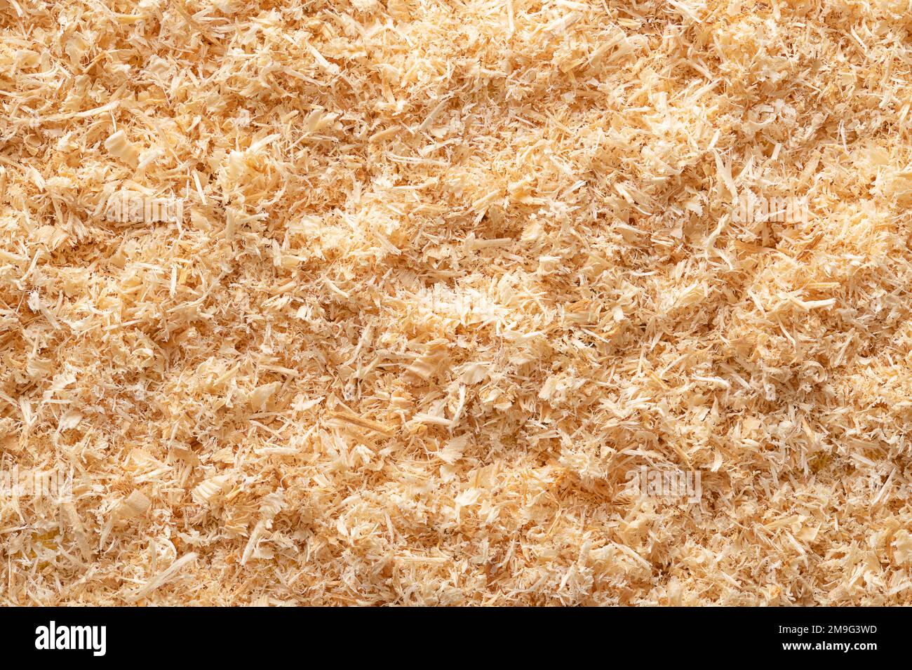 Wood flour, wood powder, surface of fine sawdust, formed by sawing dried spruce. Finely pulverized wood, a by-product and waste product. Stock Photo