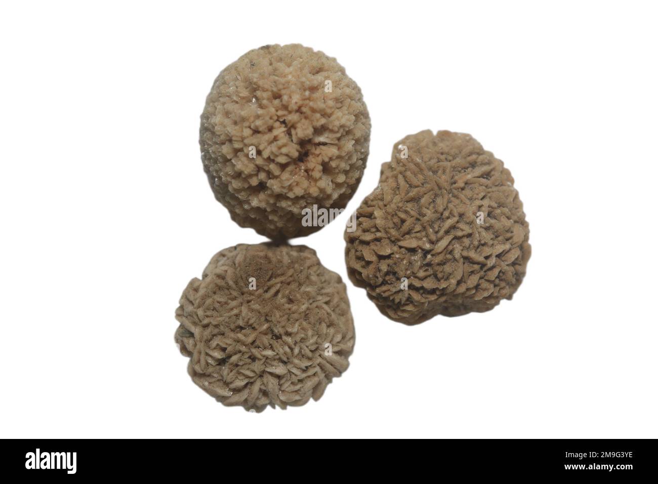 The round brown spiky Calcium oxalate bladder stones isolated on white background Stock Photo