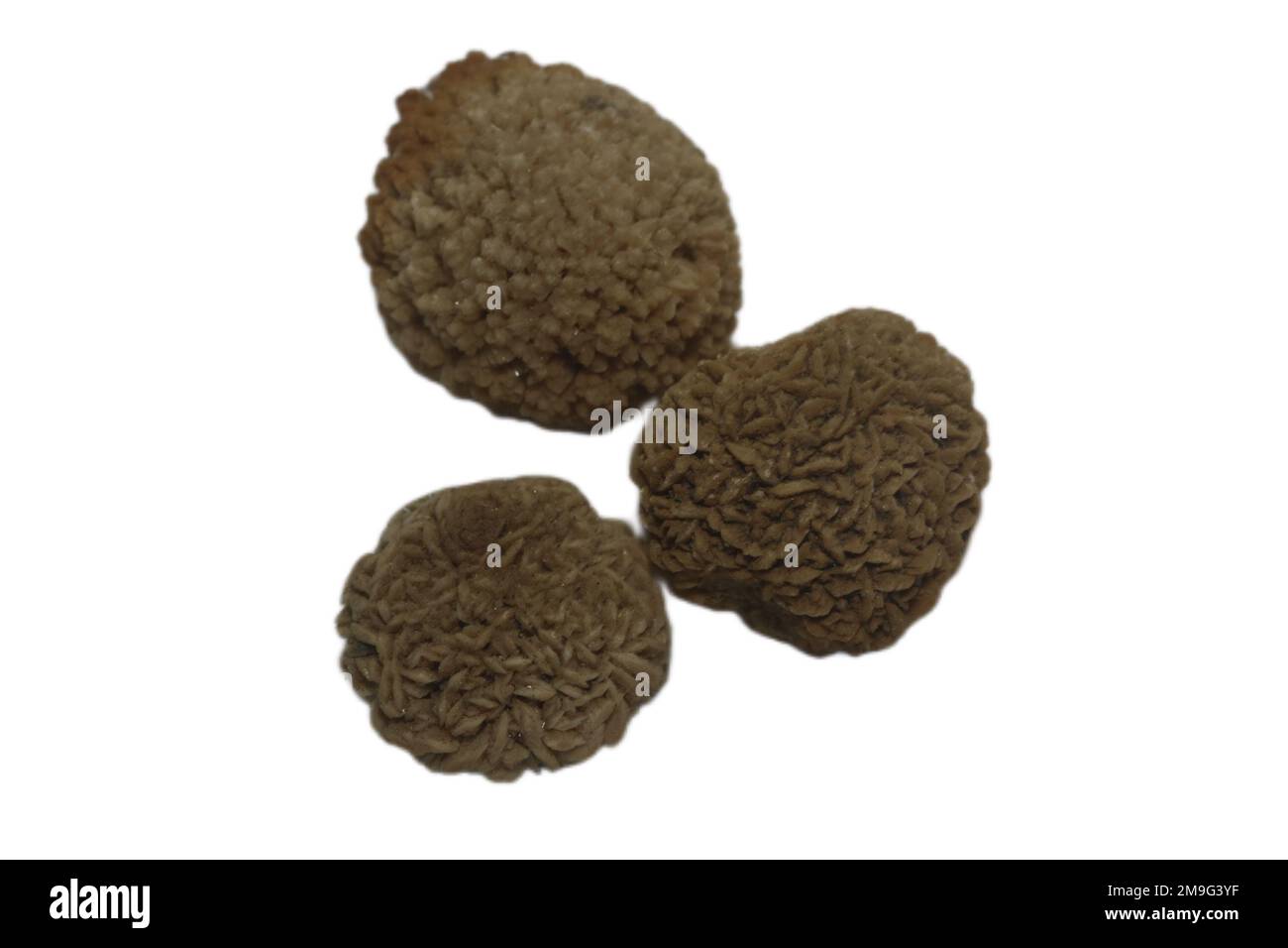 The round brown spiky Calcium oxalate bladder stones isolated on white background Stock Photo