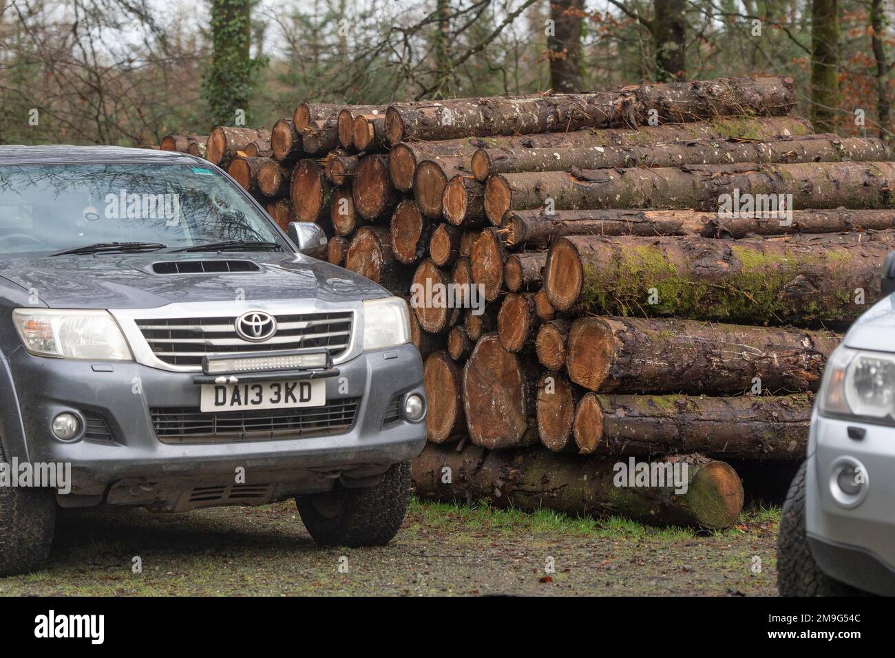 4x4 Toyota in forest with logs Stock Photo