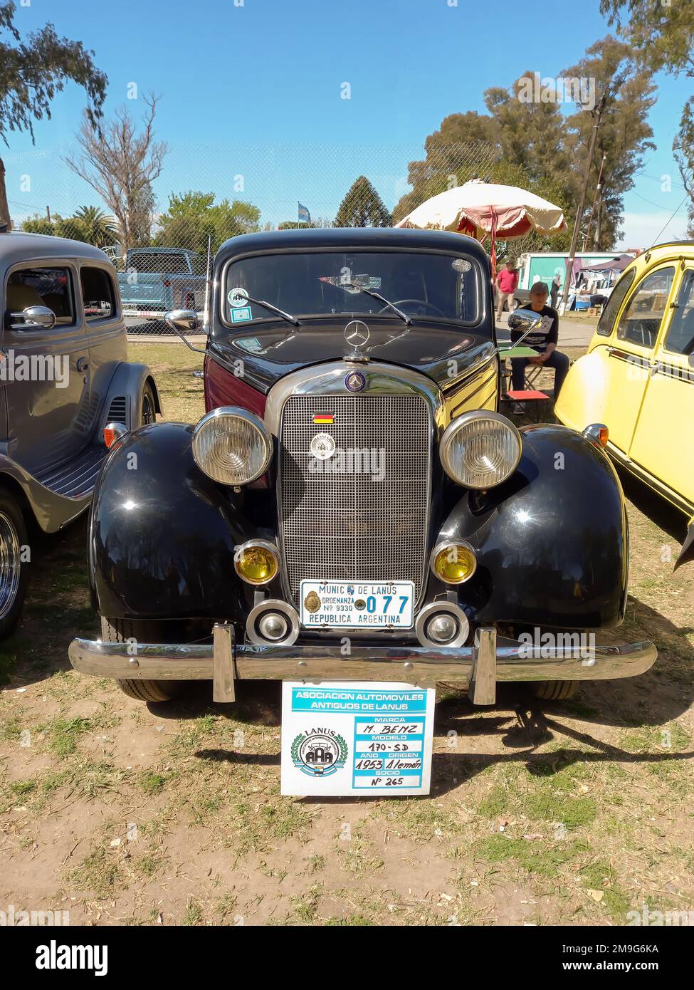 Lanus, Argentina - Sept 24, 2022: Old red bordeaux and black 1953 Mercedes Benz 170 SD w136 four door sedan in a park. AAA 2022 classic car show. Stock Photo