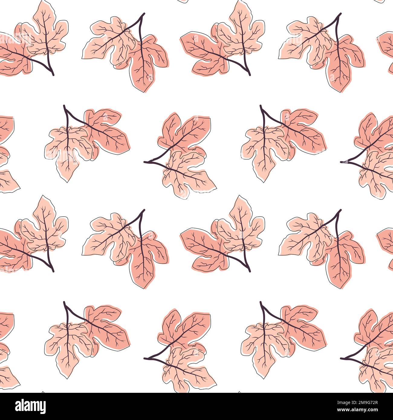 Floral seamless pattern, leaf fig on white background Stock Vector