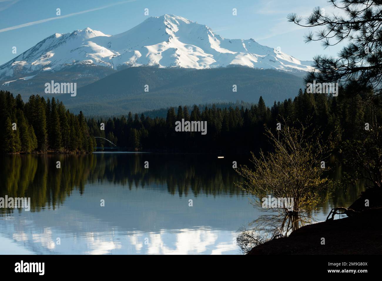 View of lake and Mount Shasta, Siskiyou County, California, USA Stock Photo
