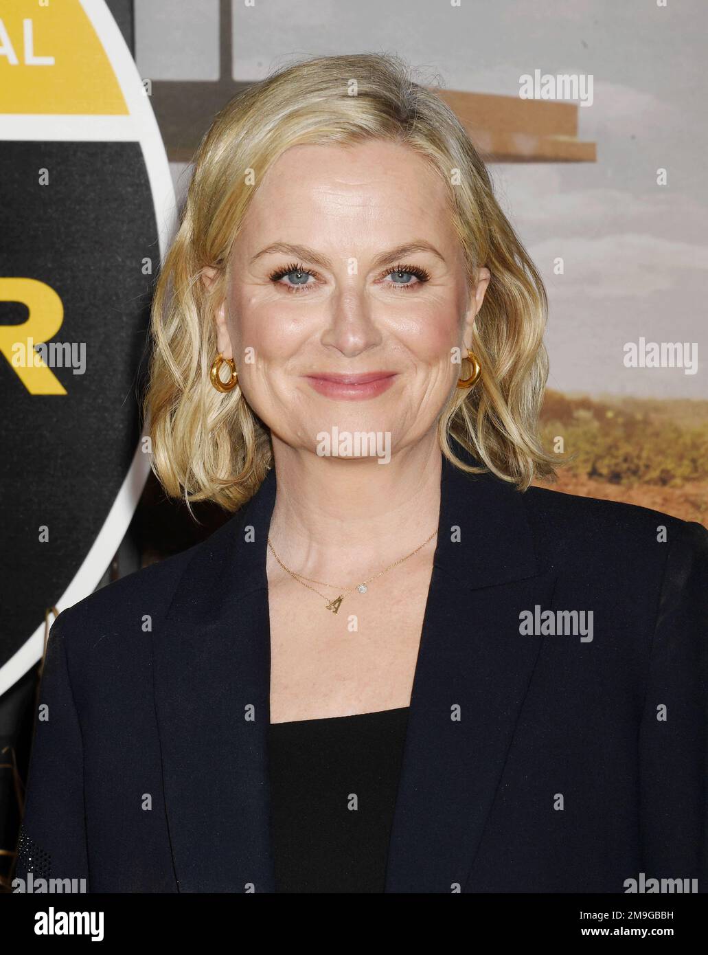 LOS ANGELES, CALIFORNIA - JANUARY 17: Amy Poehler attends the Los
